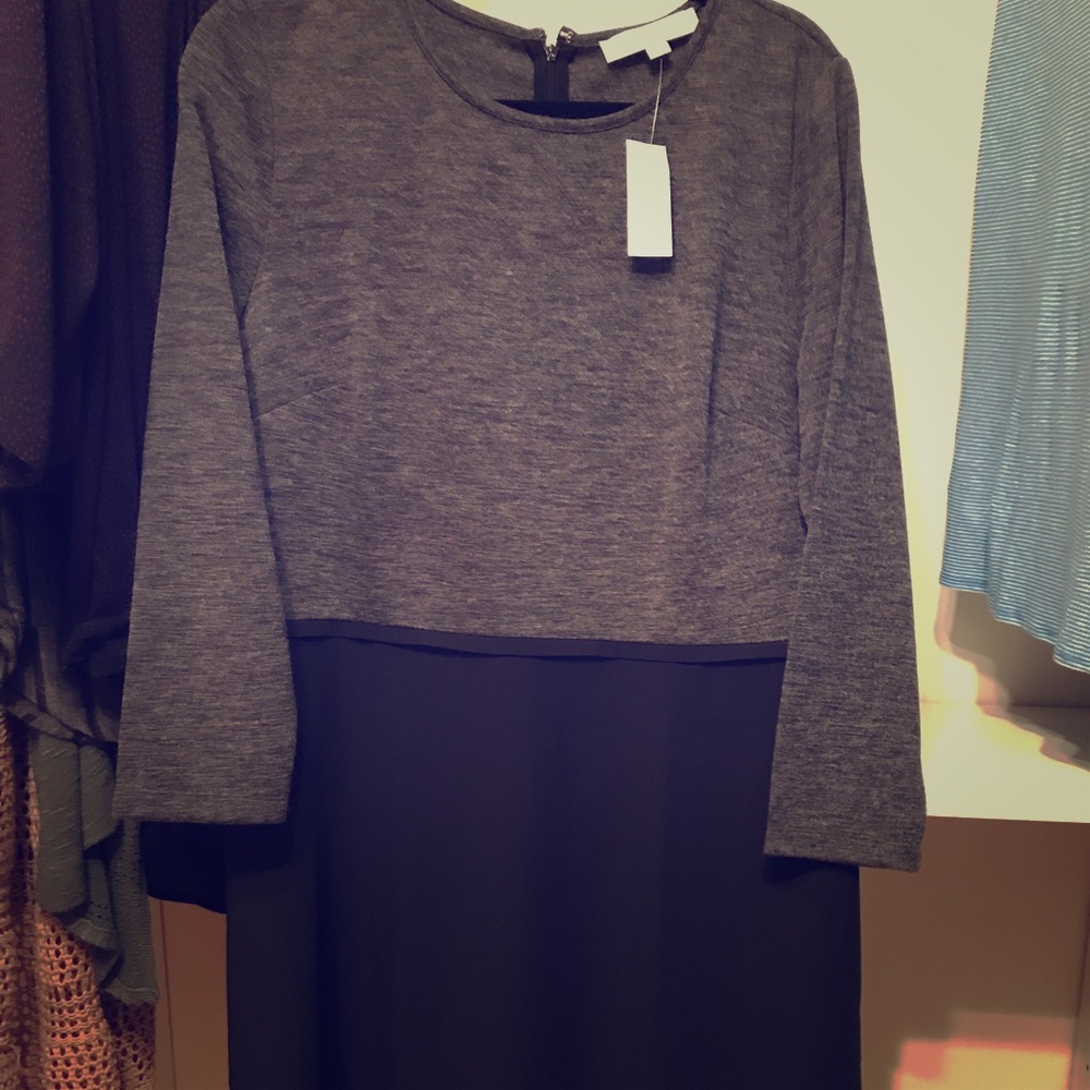 LOFT Colorblock Long Sleeve Dress